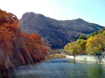 新澳天天开奖资料大全旅游团，修保险箱